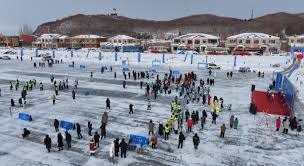 反诈警示：虚假牌照网站的常见伪装方式。（警惕诈骗：假牌照网站惯用伪装术）